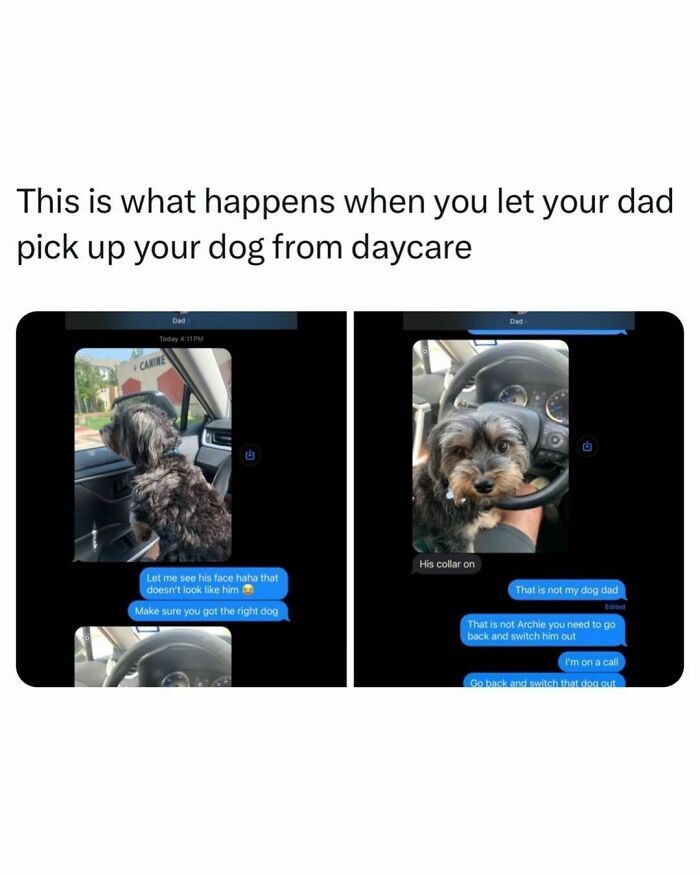 Dad picks up wrong dog from daycare, funny meme conversation shared on Instagram.