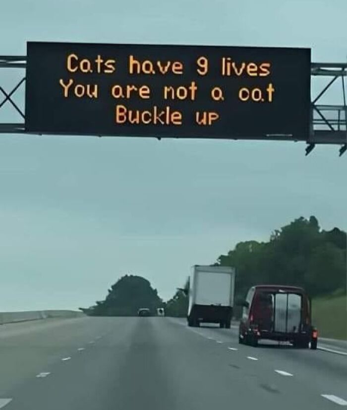 Highway sign reads "Cats have 9 lives, you are not a cat. Buckle up," showcasing a hilarious car-related meme.