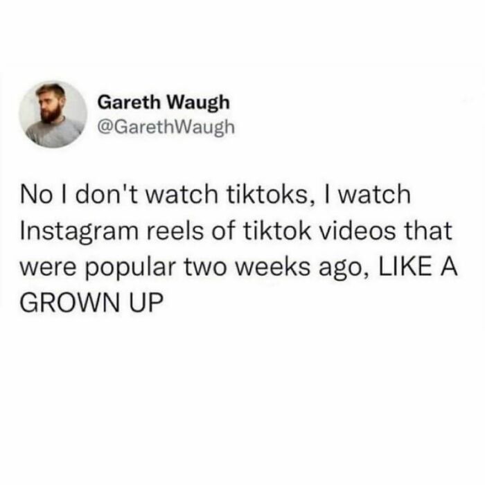 Hilariously relatable meme about watching Instagram reels instead of TikToks for tired millennials.