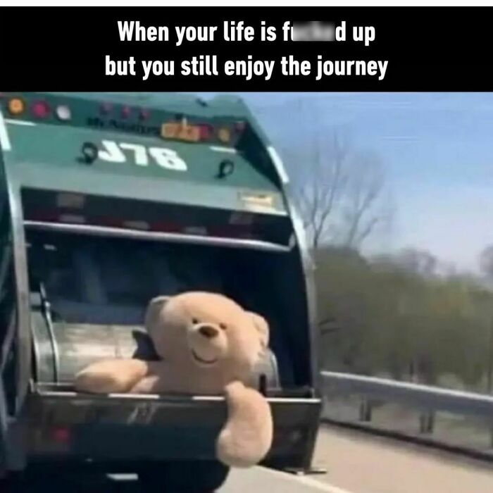 Teddy bear sticking out of a garbage truck, illustrating enjoying the journey despite a messed up life in hilarious memes.