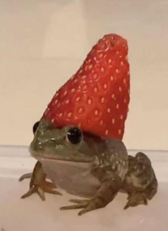 Great Lord Remington, Warder Of Strawberries