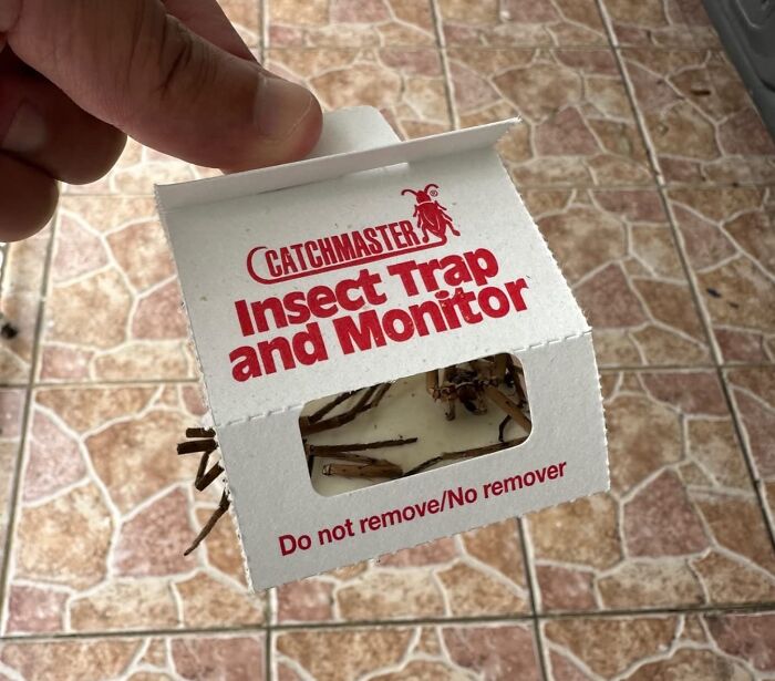 "Allowed a spider to land on me, being from an area with harmless spiders. It bit me. Found out my new home was also home to venomous spiders after the red streaks to my heart and necrosis set in" - Jickdam