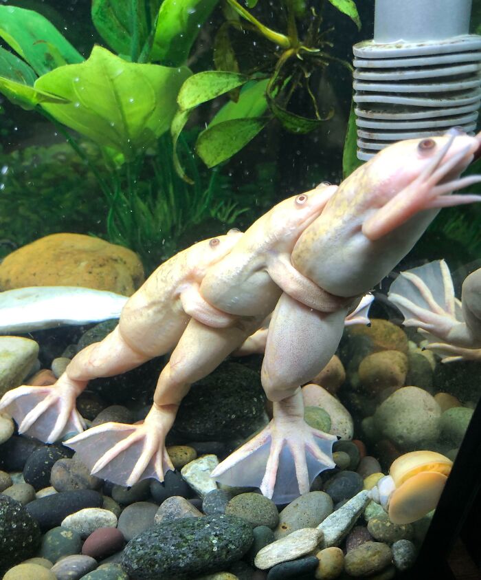 Inappropriate, You Guys