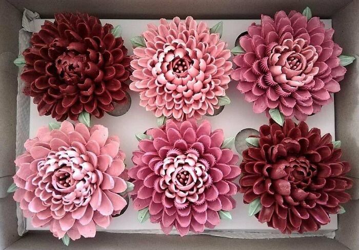 Six beautifully baked cupcakes decorated with intricate flower designs showcasing baking at its finest artistry.