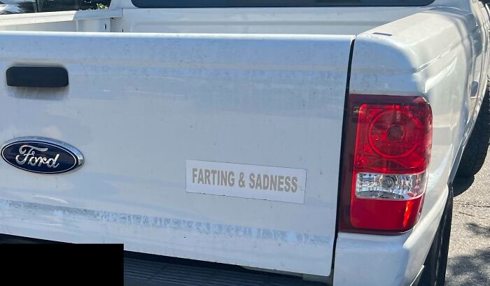 This Bumper Sticker About Flatulence And Despair