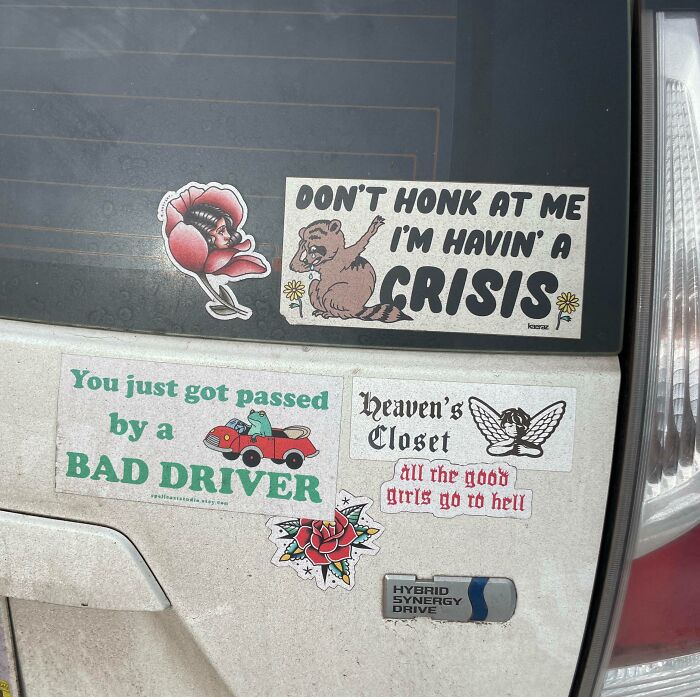 This Bumper Sticker Combo I Saw This Morning Made Me Laugh