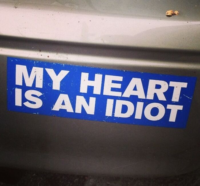 This Bumper Sticker