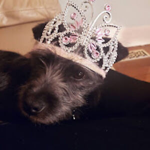 wilhelminamison avatar