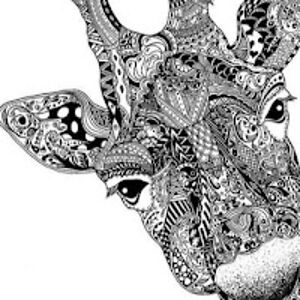 kellyschlachter avatar