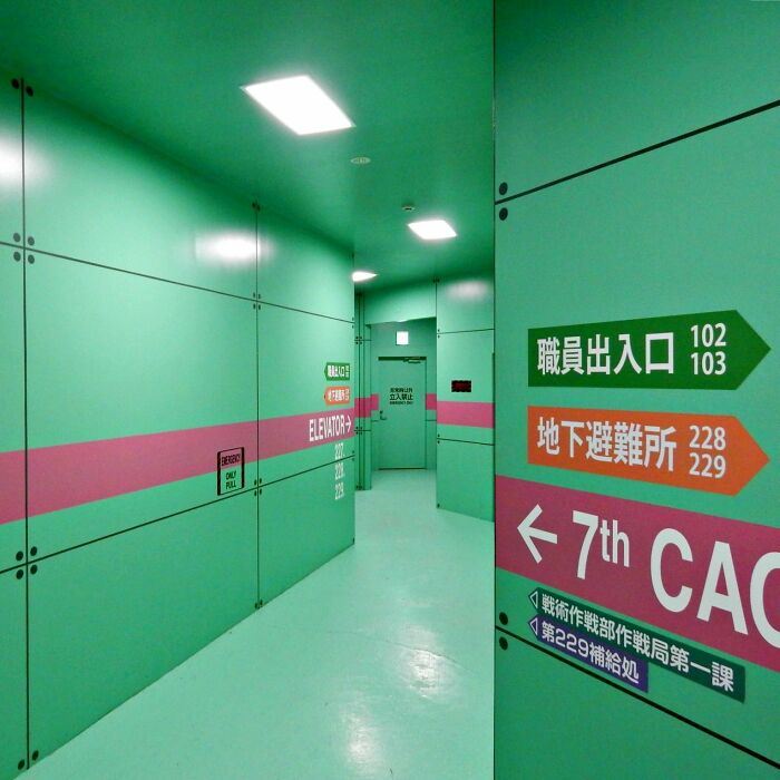 It's From A Closed Attraction Named Evangelion World, Based On The Evangelion Franchise