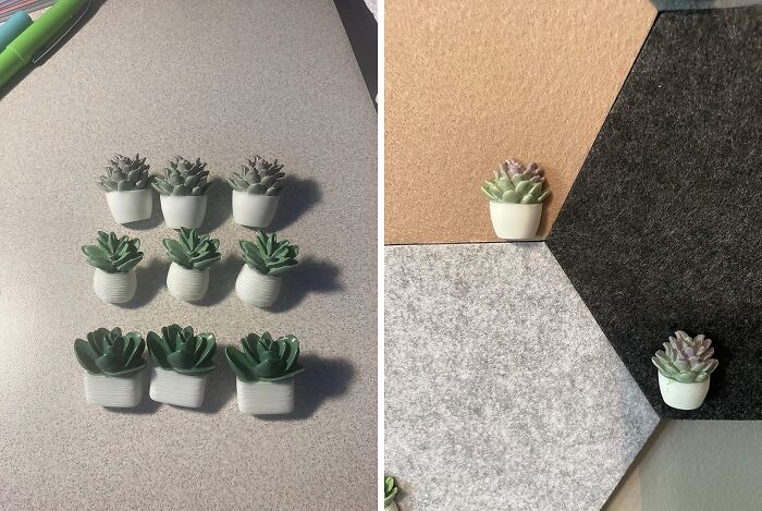 Spice Up Your Bulletin Board With These Adorable Succulent Push Pins