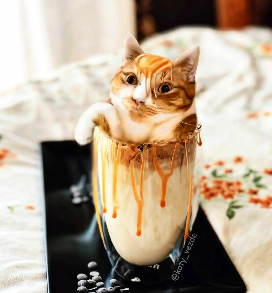 Person Shows What Everything Would Look Like If It Had A Cat’s Face And The Result Is Funny Yet Disturbing ( New Pics)