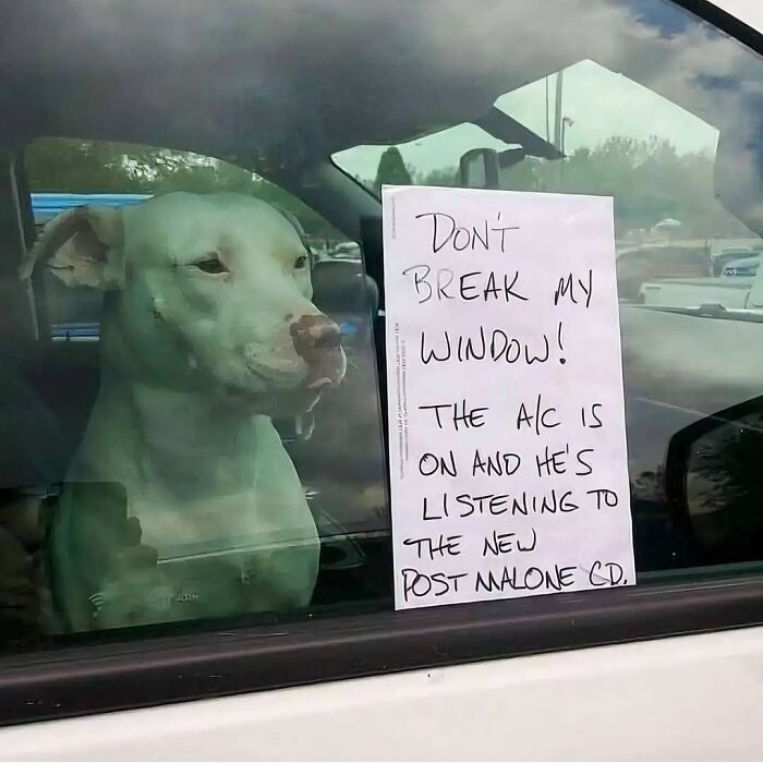 Funny-Random-Memes-Thehilarious-Ted