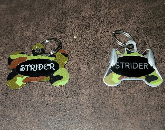 Ten Years Of Wear On A Dog Tag