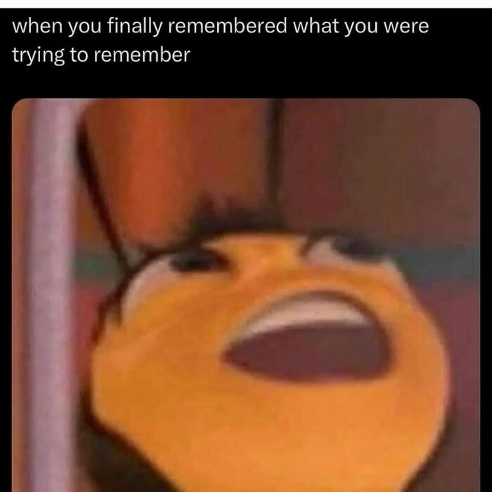Close-up of a bee’s face showing relief and joy, illustrating the hilarious meme about finally remembering something.