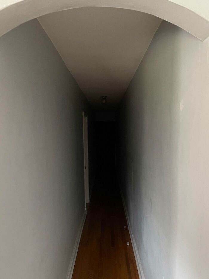 Middle Of The Day In My Apartment. I Can’t See What’s Hiding At The End Of The Hallway