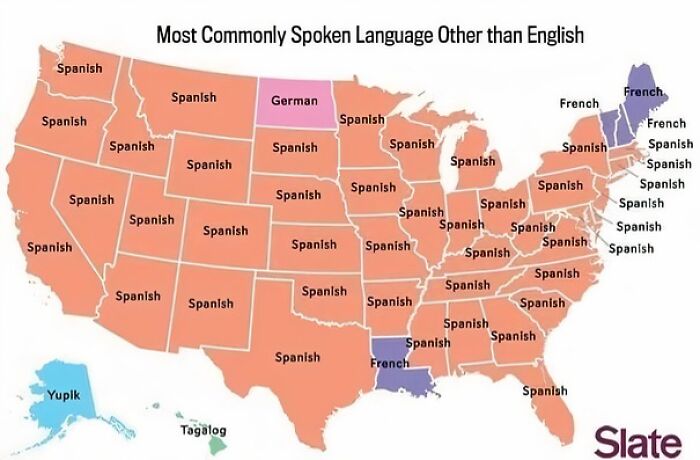 Map showing most commonly spoken language other than English by state in the US with focus on unconventional world facts maps.