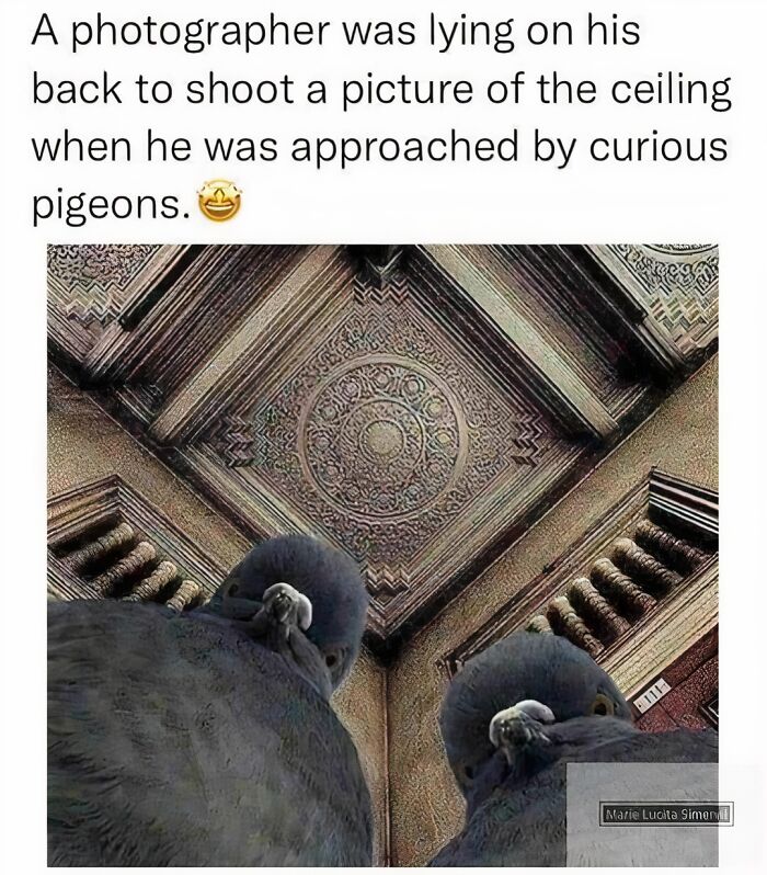 Funny-Random-Memes-Thehilarious-Ted