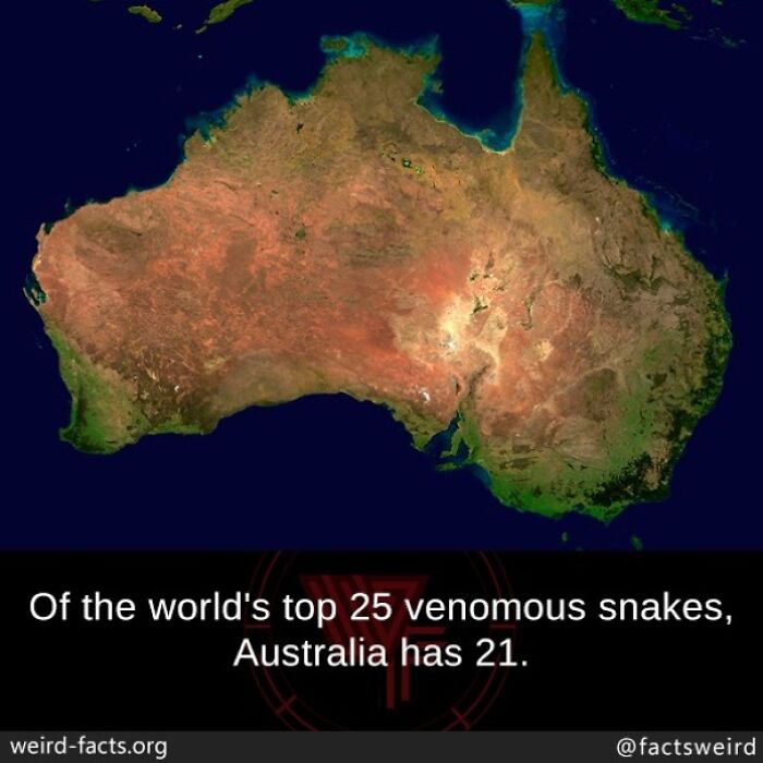 Satellite view of Australia highlighting its status with 21 of the world's top 25 venomous snakes facts.