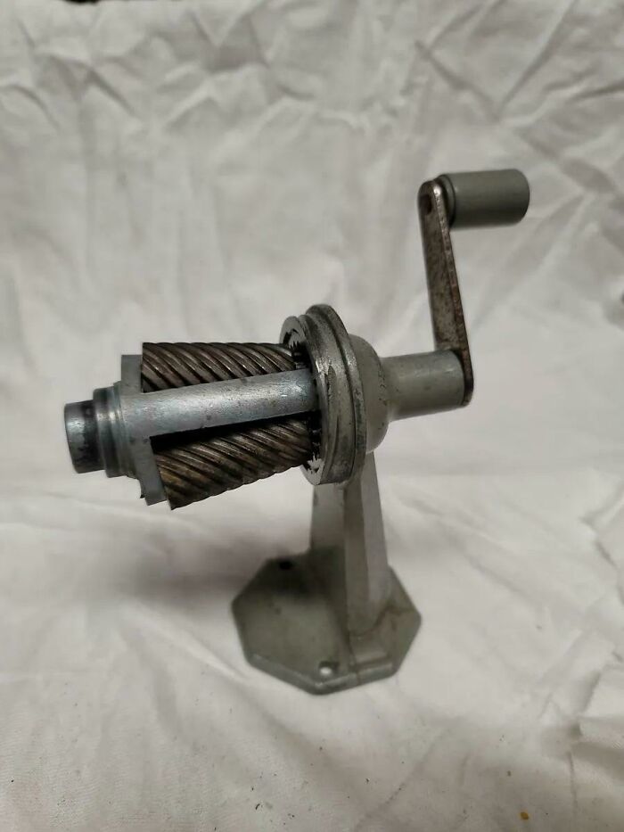 The Kids Have No Idea