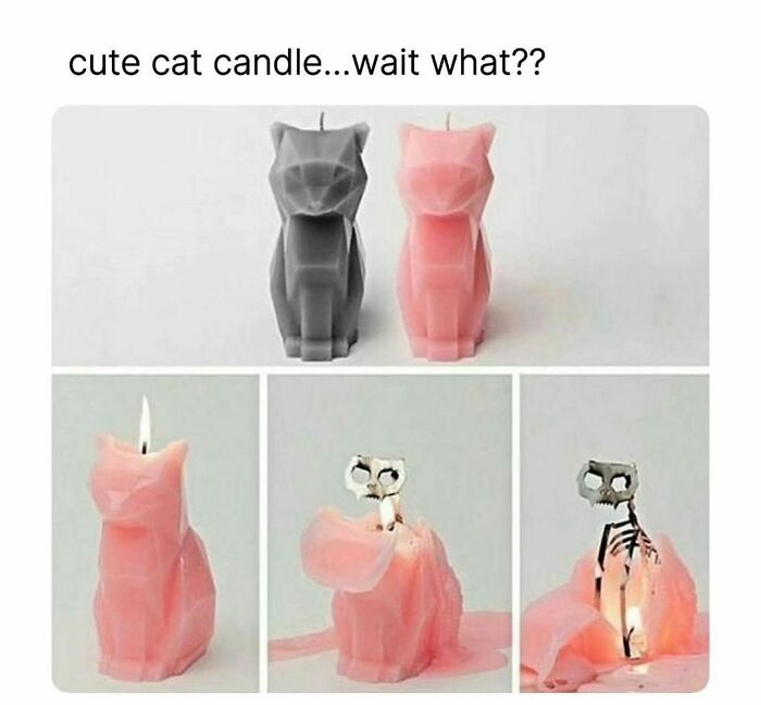 Pink and gray cat-shaped candles melting to reveal small skeletons, a funny and surprising meme to brighten your day.