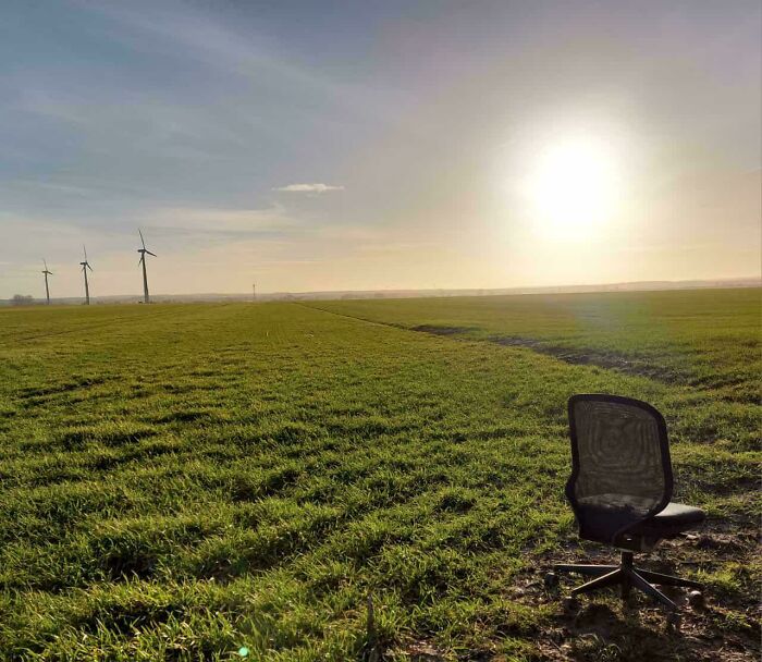 Found This On A Walk