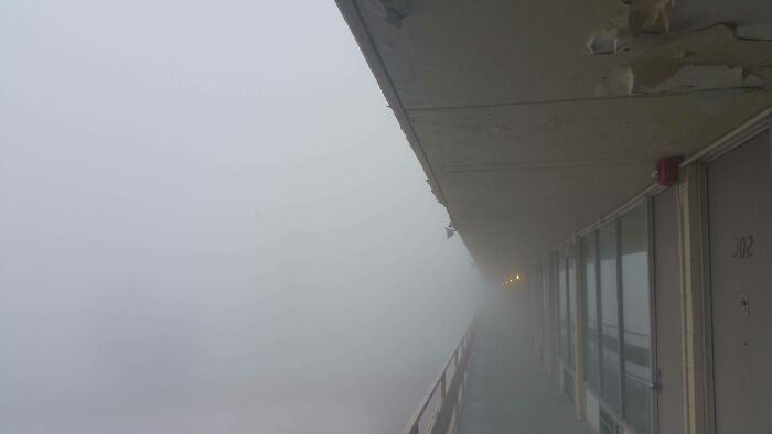 My Place This Morning