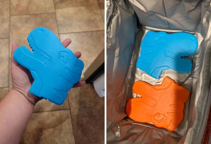 Say Goodbye To Soggy Sandwiches And Lukewarm Juice Boxes! These Bentgo Buddies Ice Packs Will Keep Your Lunch Cool And Your Kids Happy