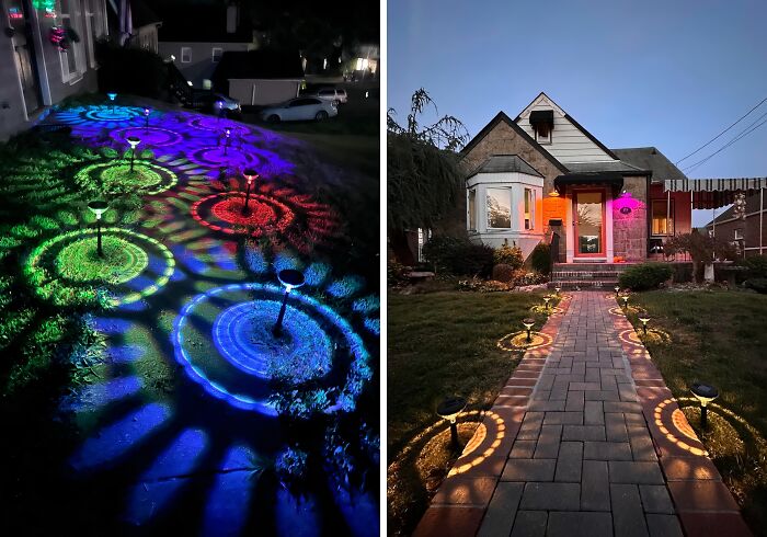 Colorful garden solar lights illuminating a pathway and yard, showcasing top gardening finds for vibrant outdoor plant displays.