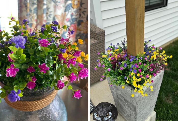 Vibrant gardening finds featuring colorful flowering plants in decorative pots enhancing outdoor and indoor spaces.