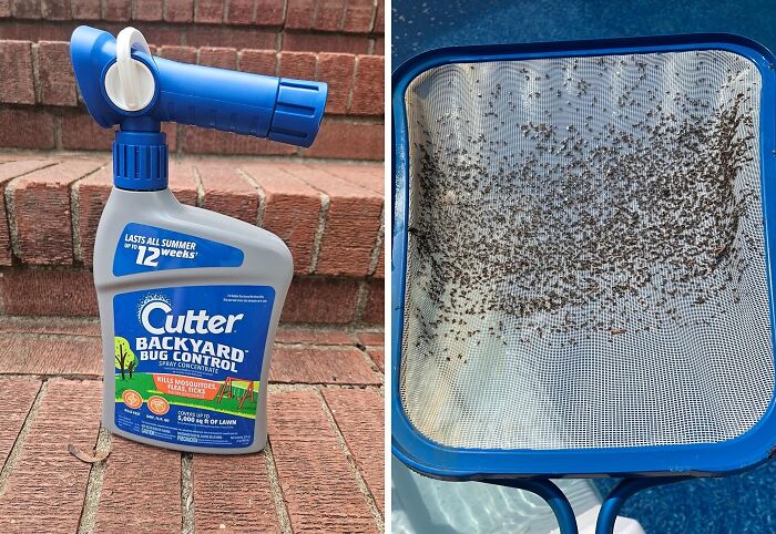 Bugs Bugging You Out? This Bug Control Spray Concentrate Will Send Those Pests Packing Faster Than You Can Say "Hasta La Vista, Baby!"