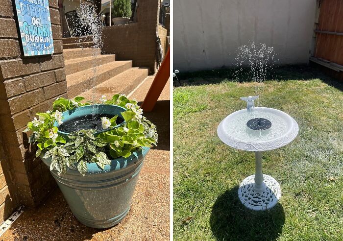 Gardening finds featuring a self-watering plant pot and a white decorative birdbath sprinkler in a garden setting