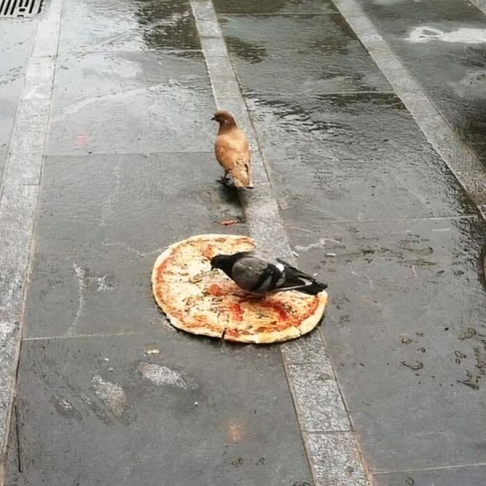 Pizzas-With-Threatening-Auras