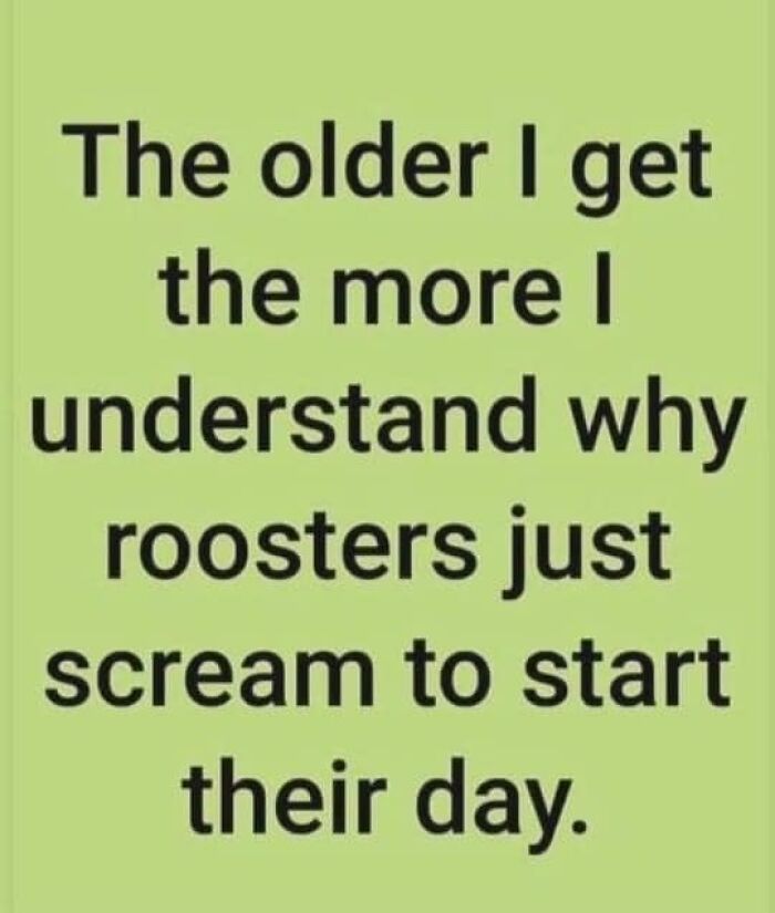 Hilarious-Funny-Random-Memes-Life-Pics