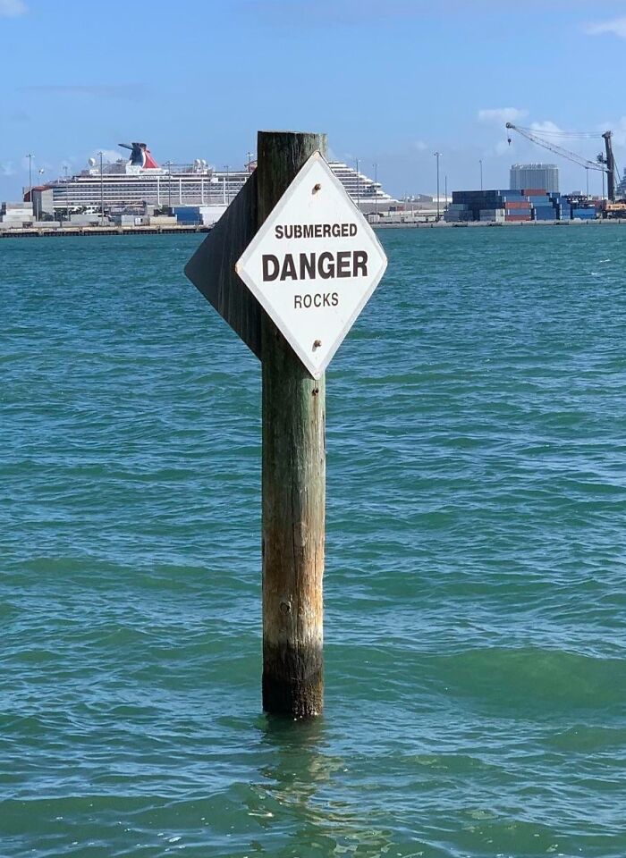 They Are, In Fact, A Particular Sub-Species Of Rock