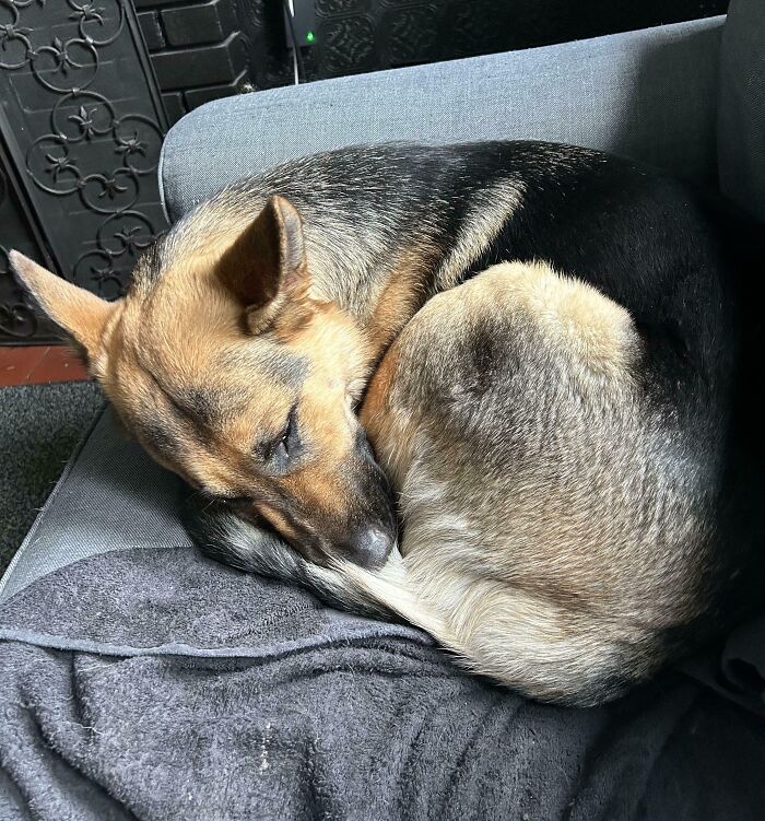 When You Were Raised In A House Full Of Cats