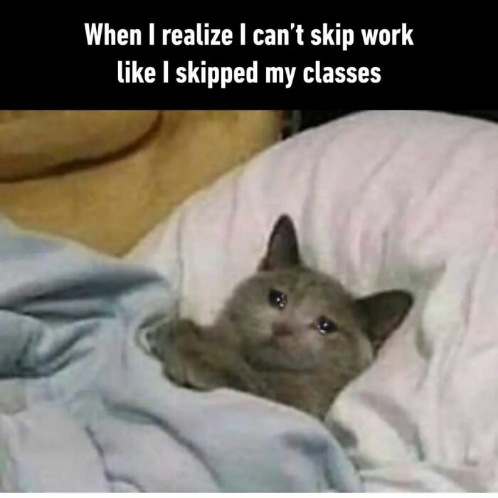 Sad cat lying in bed with caption about skipping work, a humorous meme for hilarious memes to save your day.