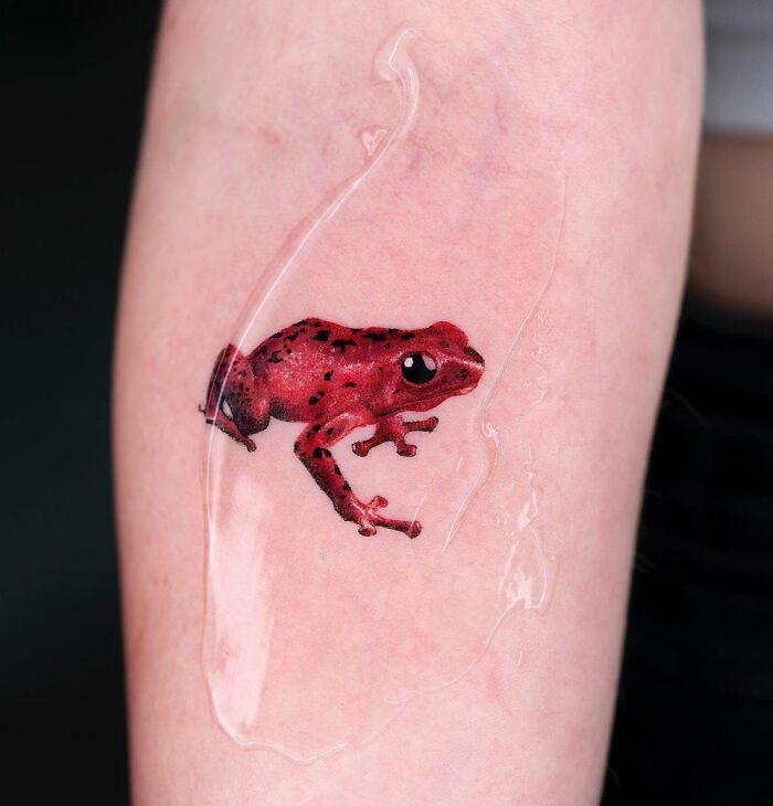 Frog-Tattoo-Ideas