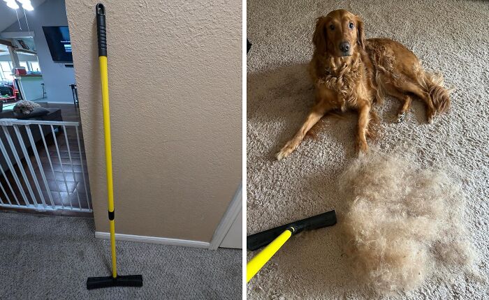 Furry Friends Leaving Your Floors Looking Like A Shag Carpet? This Pet Hair Rubber Broom Will Have Them Looking Fur-Bulous In No Time! 