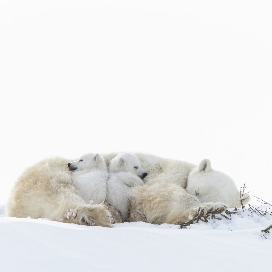 Sleeping Time By Dorota Senechal