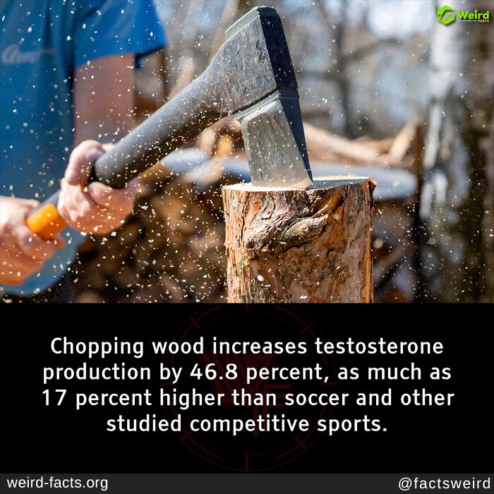 Person chopping wood with an axe, illustrating fascinating and amusing fun facts about physical activity benefits.