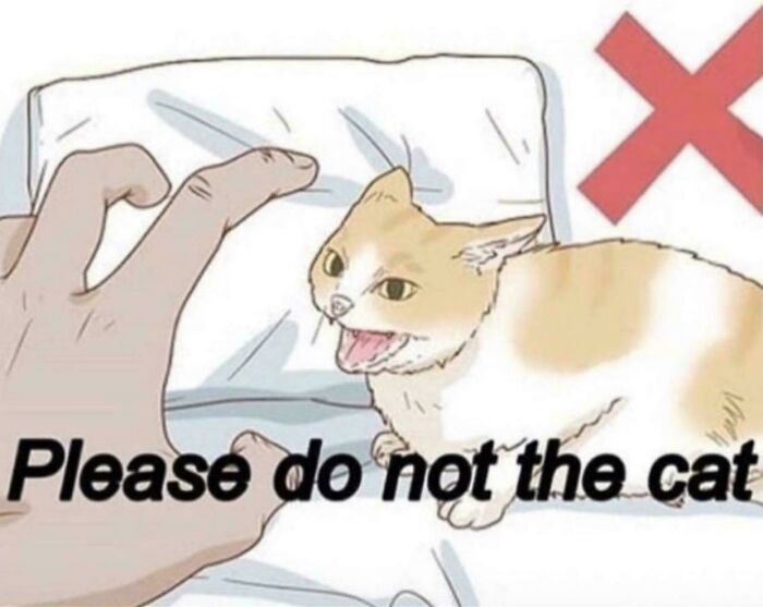 Remember This Meme?