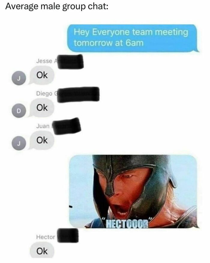 Group chat meme with replies saying "Ok" and a "HECTOOOR" scene, humorous distraction from tasks.