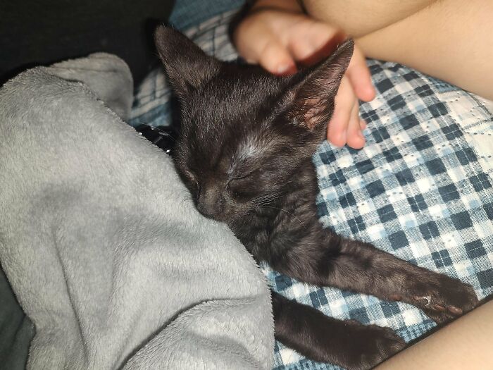 Just Adopted This Baby Void Today!!
