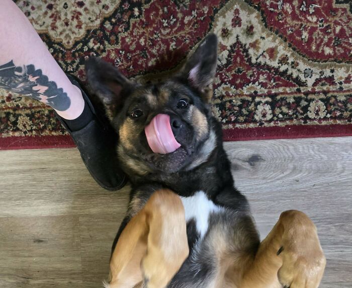 Rescued Her Yesterday