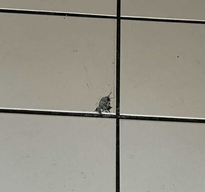 My Landlord Is Keeping All Of My Deposit Over One Broken Tile That His Maintenance Guy Broke Moving A Dishwasher