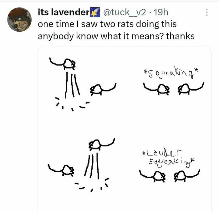 Funny random meme showing doodles of two rats squeaking at each other in simple drawings.