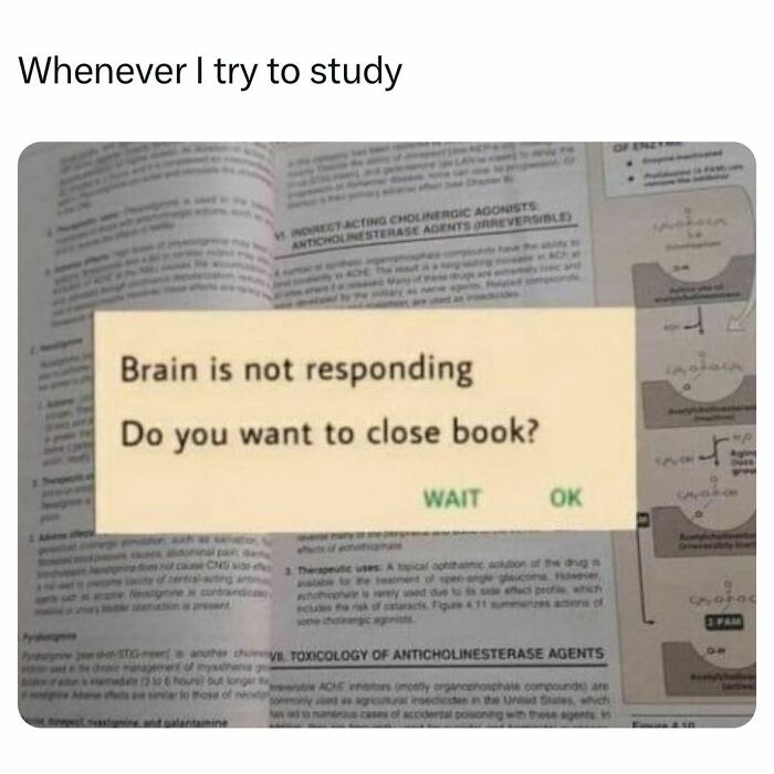 Funny and relatable college meme showing a study failure message saying brain not responding, choose to close book or wait.