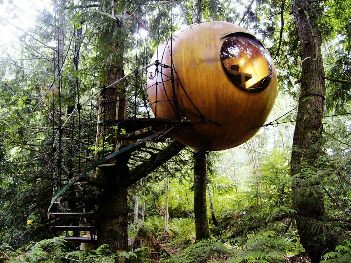 Spherical bizarre building treehouse with metal staircase surrounded by lush green forest and tall trees.