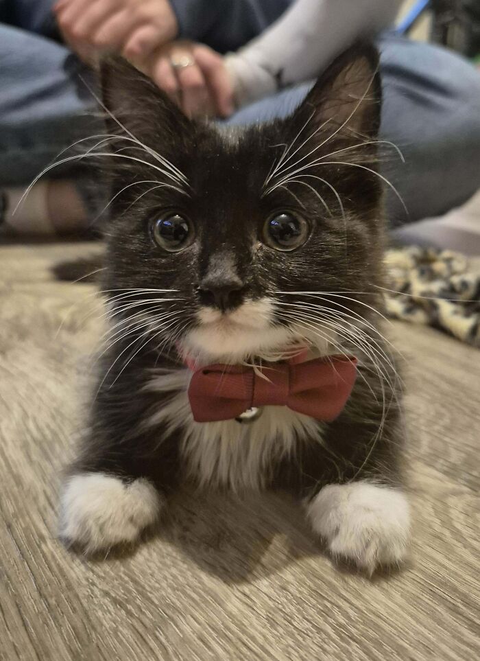 Recently Rescued This Little Cutie, Looking For A Good Name